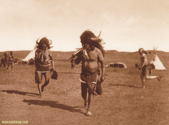 "Arikara medicine ceremony : The buffalo" - Arikara, by Edward S. Curtis from The North American Indian Volume 5

