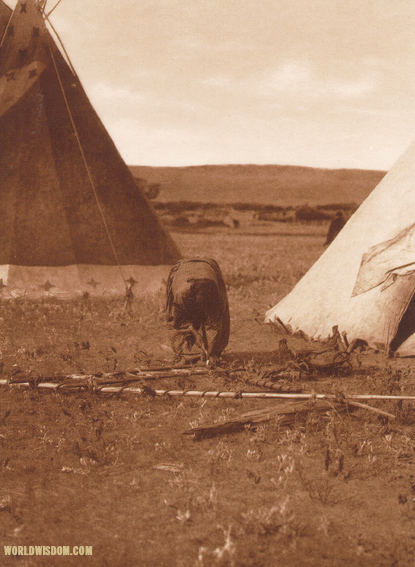 "Making a travois" - Atsina, by Edward S. Curtis from The North American Indian Volume 5
 