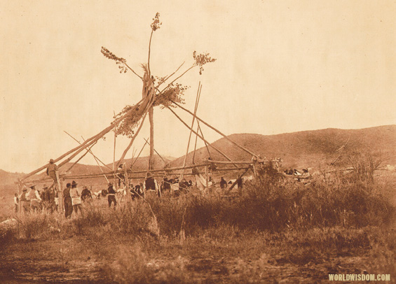 "Building the sun lodge" - Cheyenne, by Edward S. Curtis from The North American Indian Volume 6