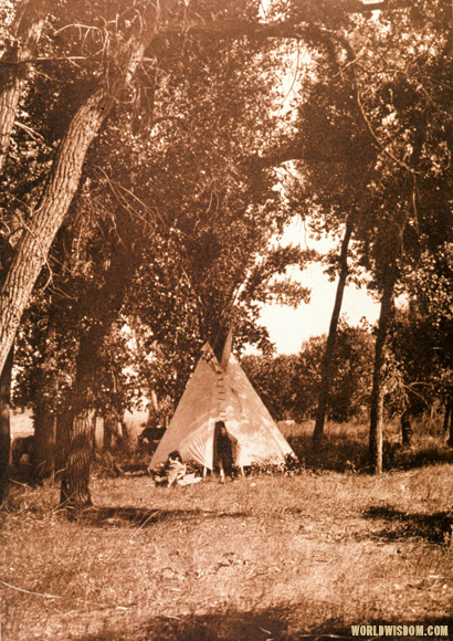 "Camp in the cottonwoods" - Cheyenne, by Edward S. Curtis from The North American Indian Volume 6