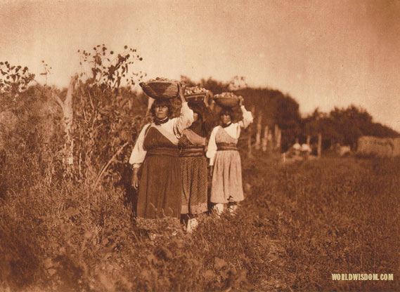 "The harvest - San Juan", by Edward S. Curtis from The North American Indian Volume 17
