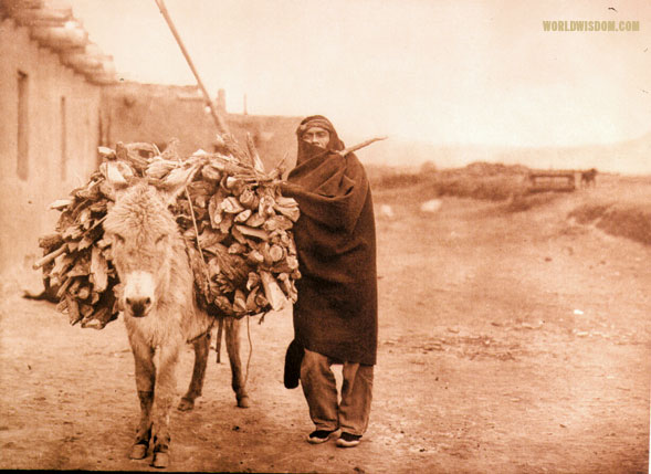 "Load of fuel – Zuni", by Edward S. Curtis from The North American Indian Volume 17
